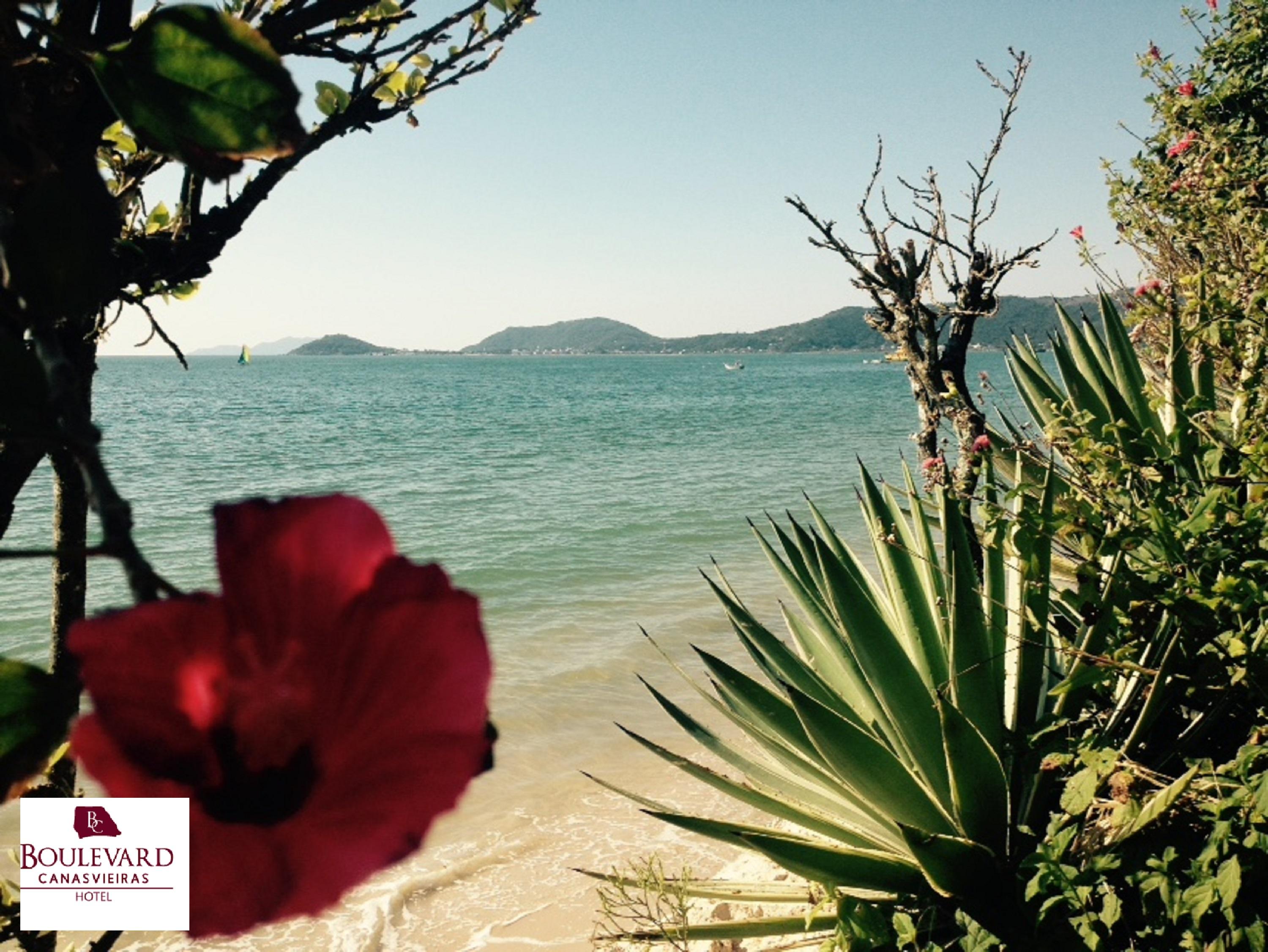 Boulevard Beach Canasvieiras Hotel Florianópolis المظهر الخارجي الصورة